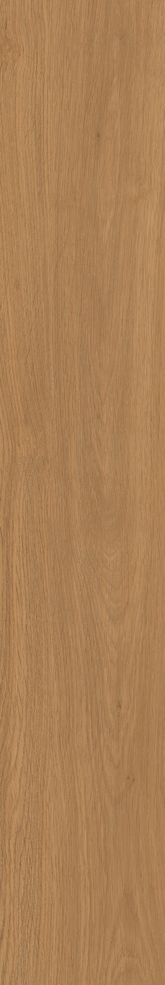 Yangmu · Digital Mould W1202342 · W1202342 Single tile image 20