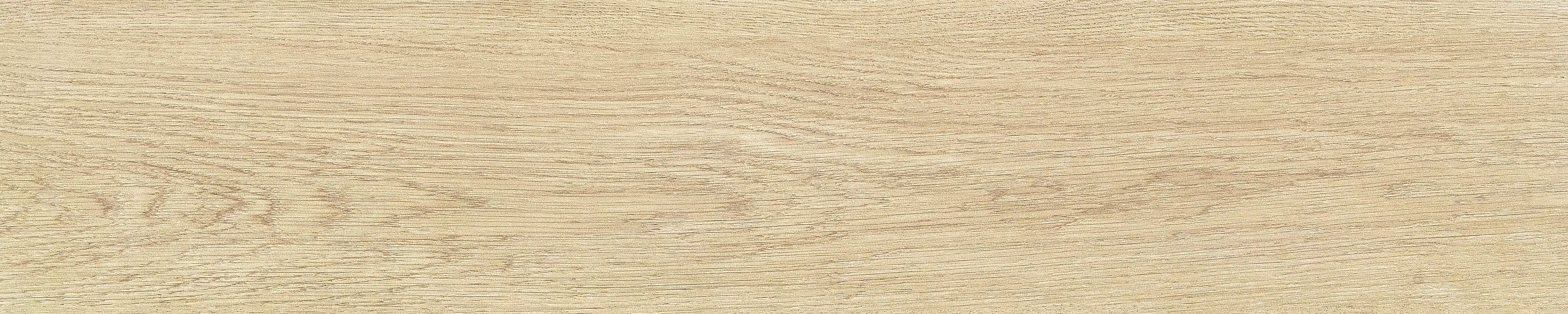半岛 · 哑光模具 W1002033 · W1002033 单片图 5