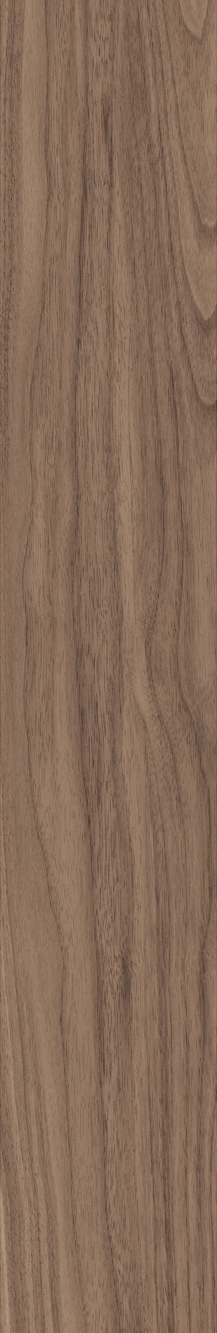 North American Walnut · Matt mould W1202075 · W1202075 single tile image 5
