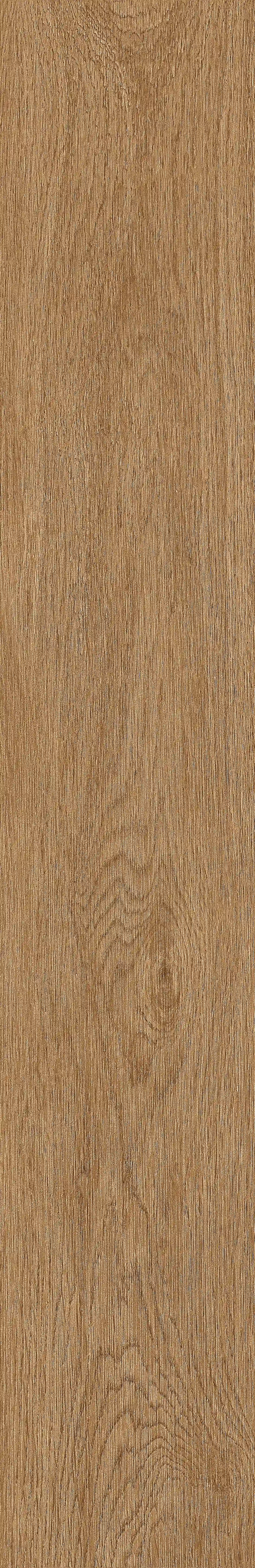 半岛MAX · 数码模具 W1202304 · W1202304 单片图 10