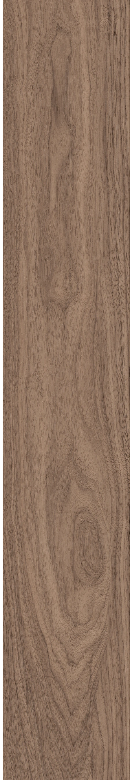 North American Walnut · Matt mould W1202075 · W1202075 single tile image 12