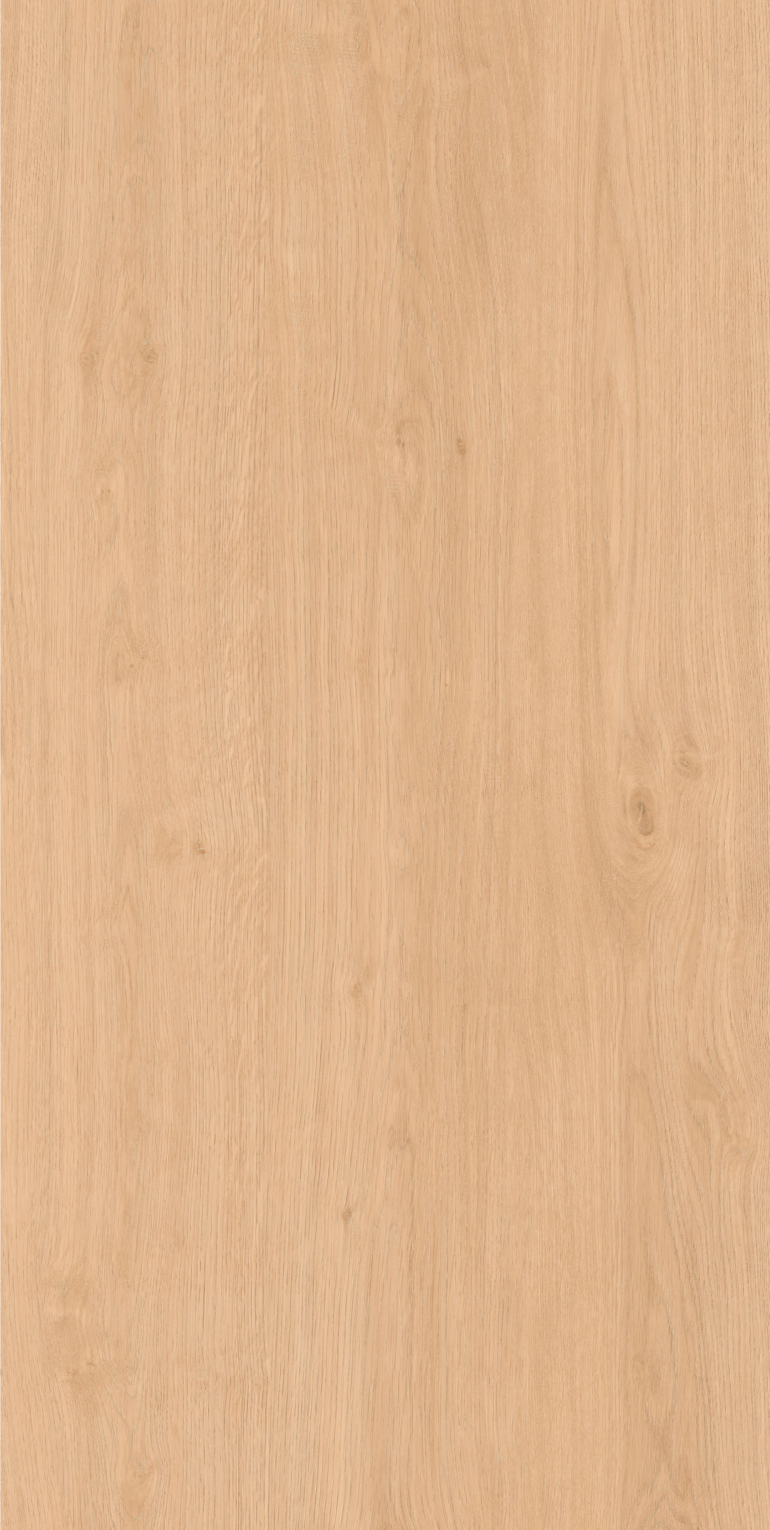 仰木 · 数码模具 W1206340 · W1206340 单片图 2