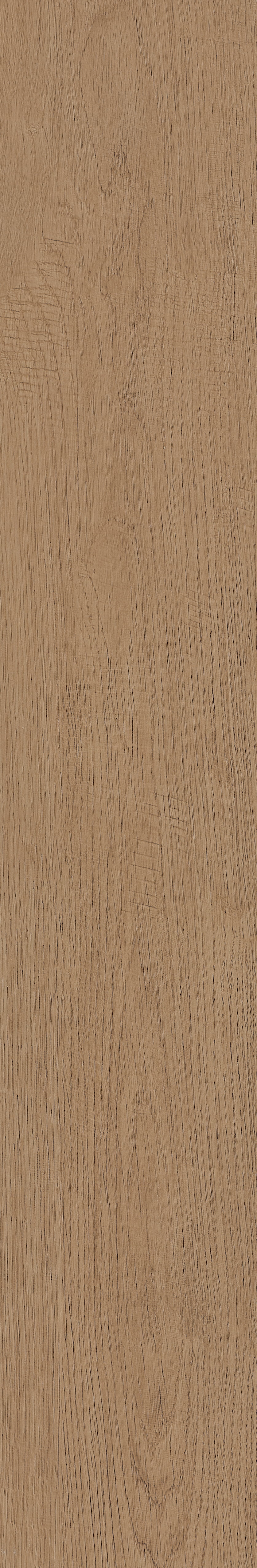 Fragrant · Matt Mould W1202331 · W1202331 Single Tile Image 39