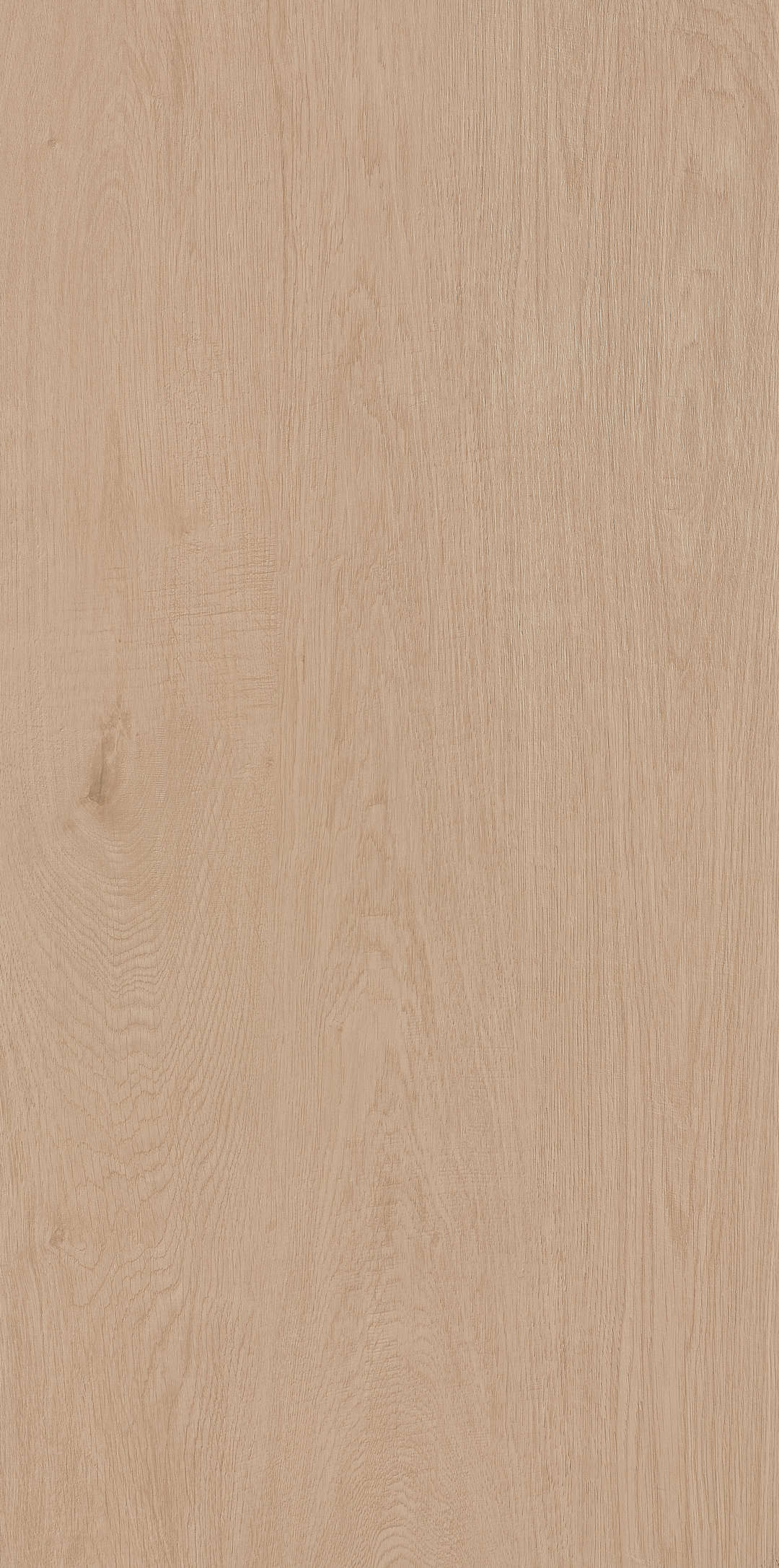 Fragrance · Matt Mould W1206330 · W1206330 single tile image 12