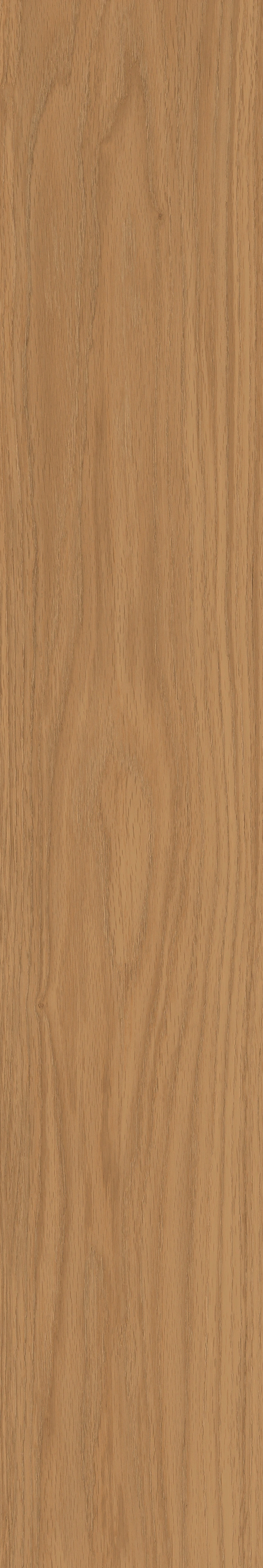 Yangmu · Digital Mould W1202342 · W1202342 Single tile image 12