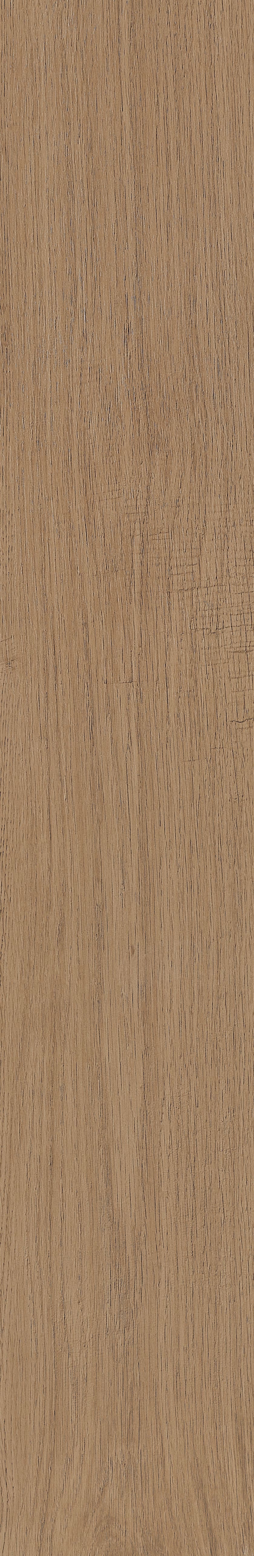 Fragrant · Matt Mould W1202331 · W1202331 single tile image 53
