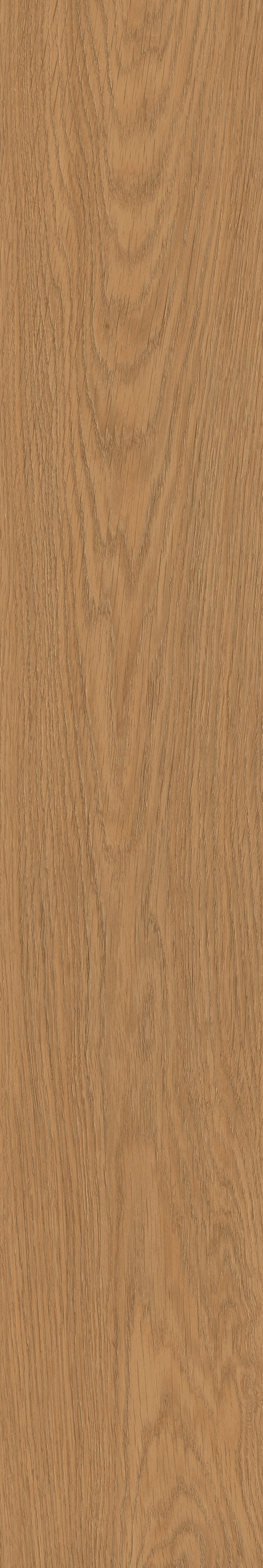 Yangmu · Digital Mould W1202342 · W1202342 Single tile image 9
