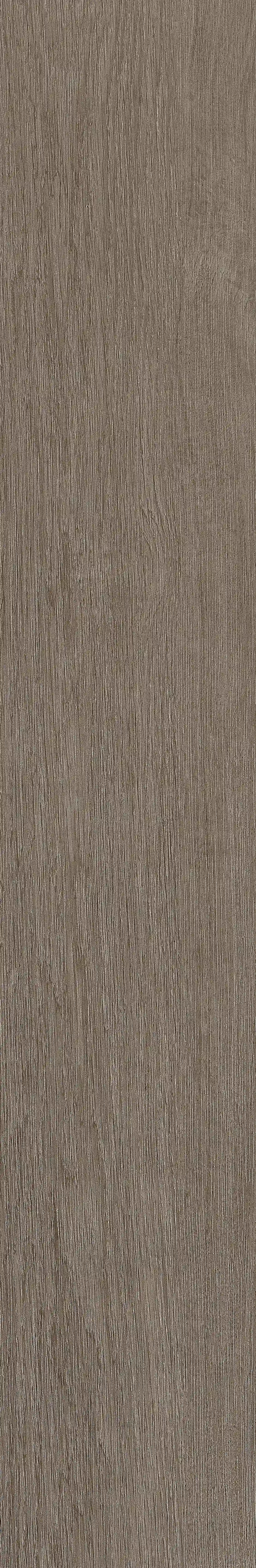半岛MAX · 数码模具 W1202305 · W1202305 单片图 6