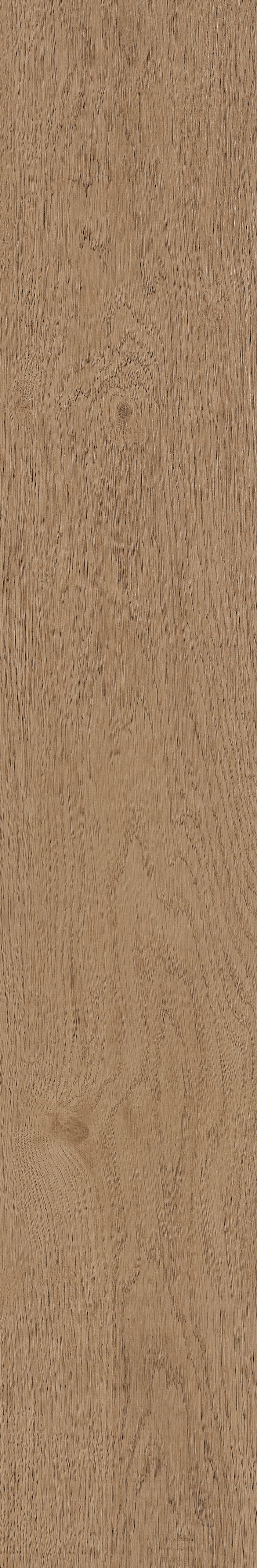 Fragrant · Matt Mould W1202331 · W1202331 Single Tile Image 16