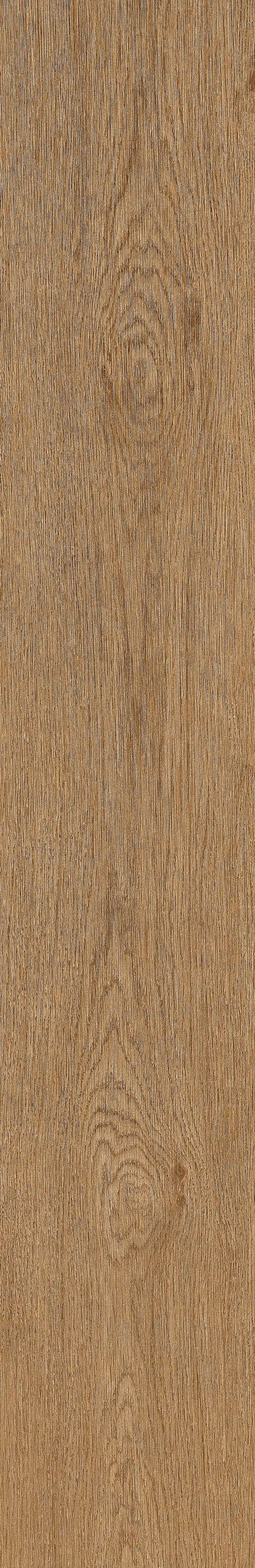 半岛MAX · 数码模具 W1202304 · W1202304 单片图 25