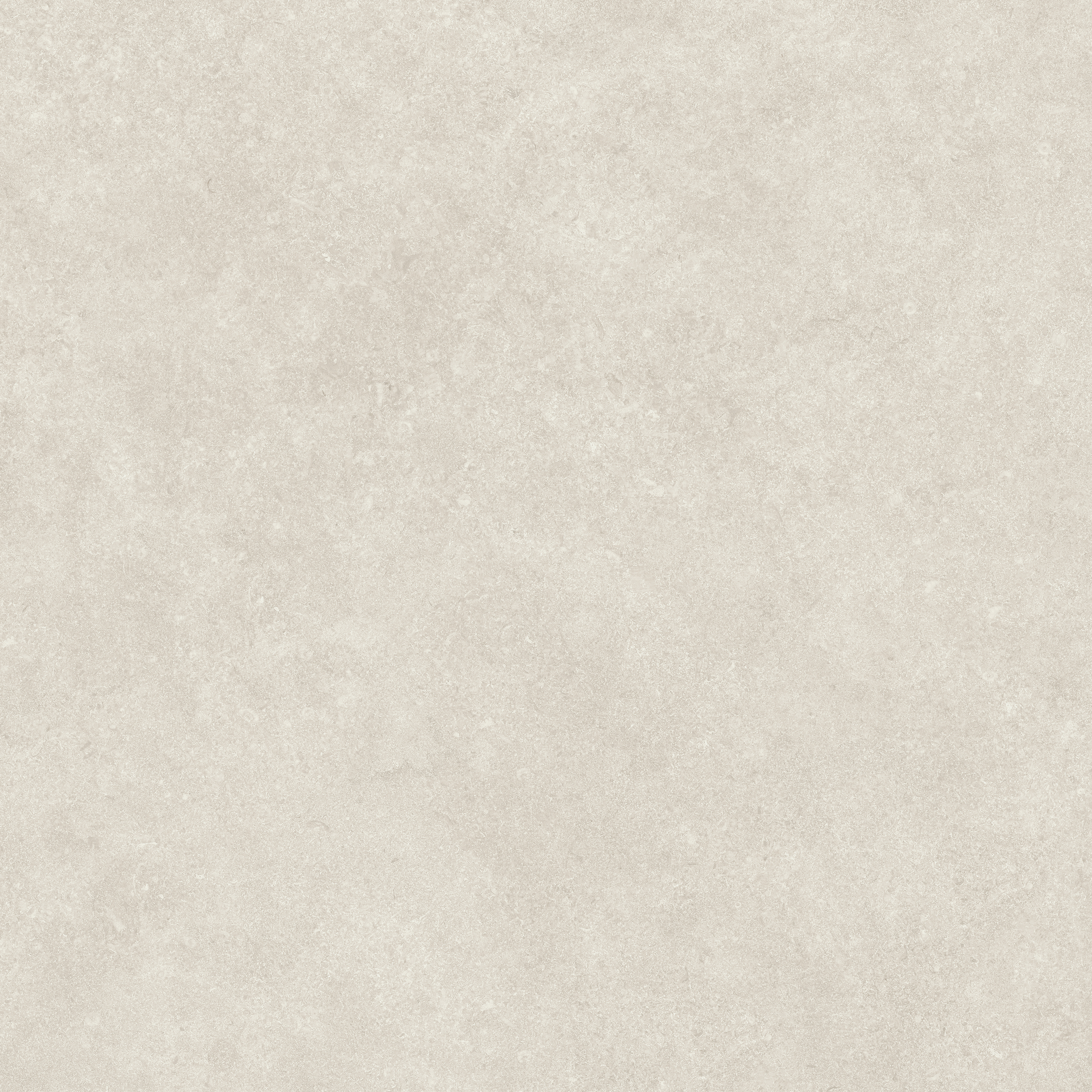 波特兰石 -银桦