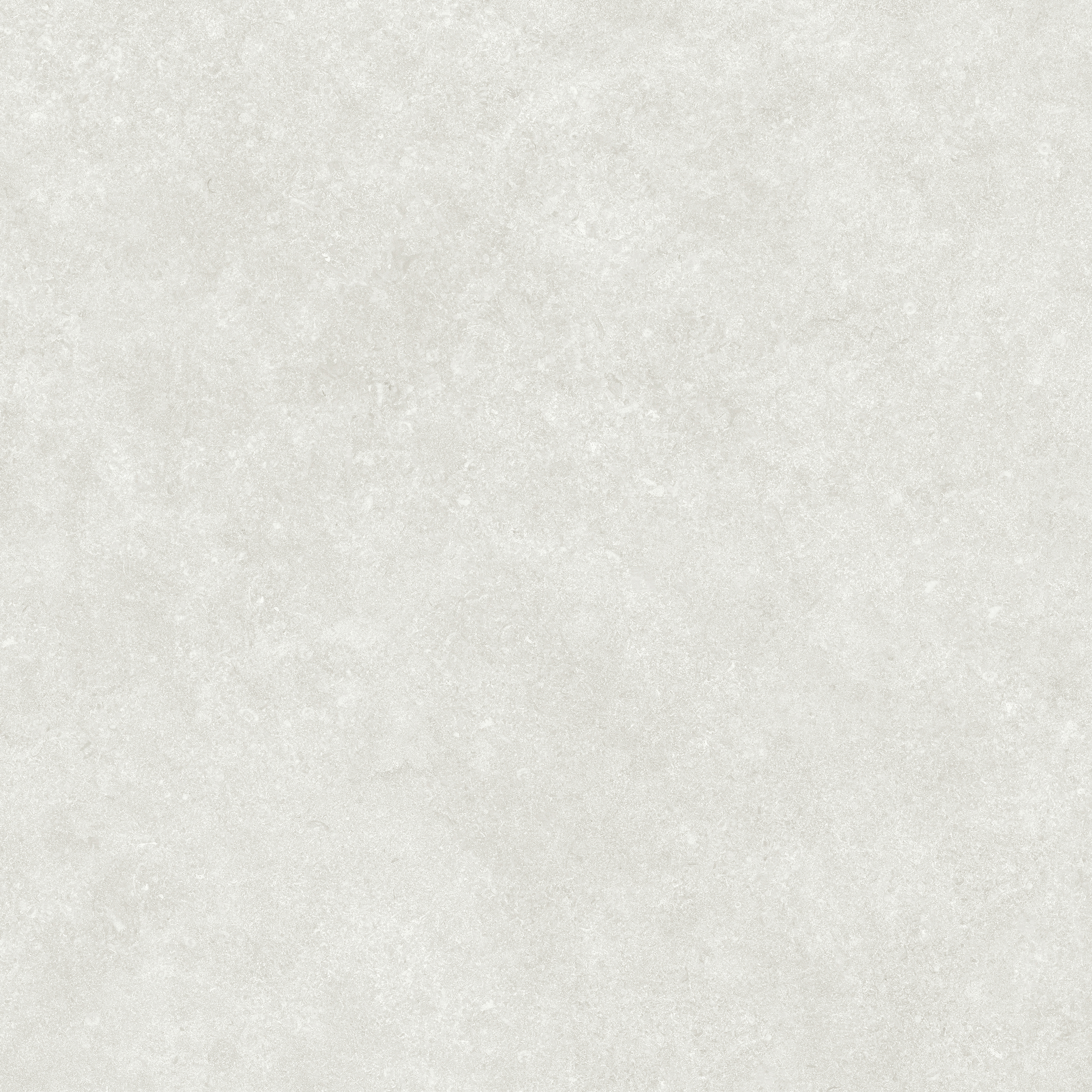 波特兰石 -白鹭