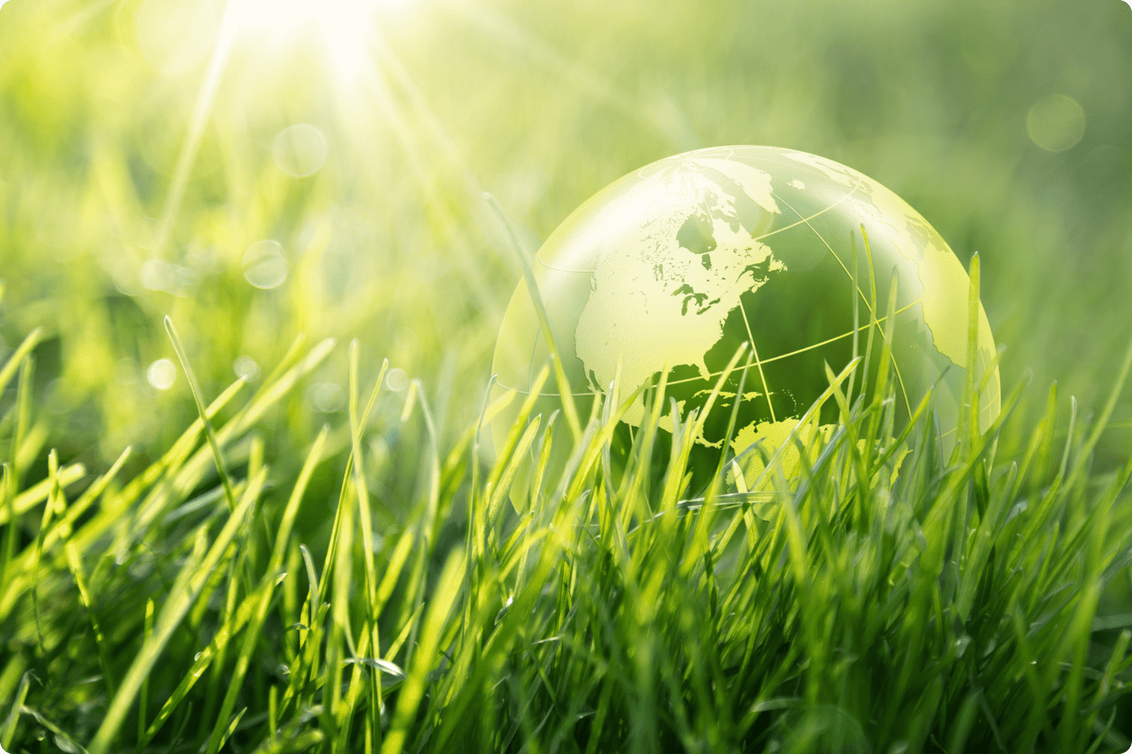 Earth and nature