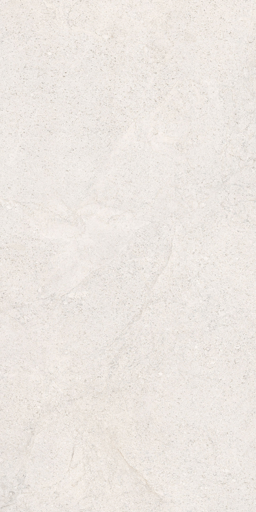 COCOWHITE - 1