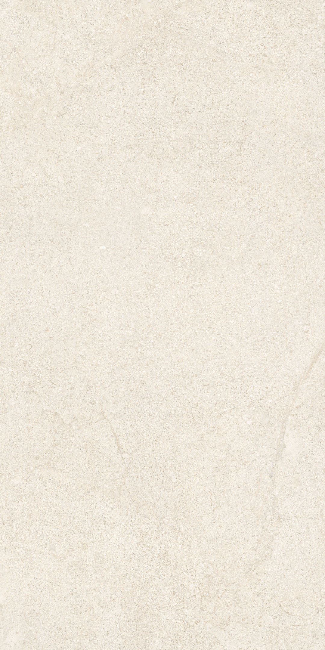 COCOIVORY - 6