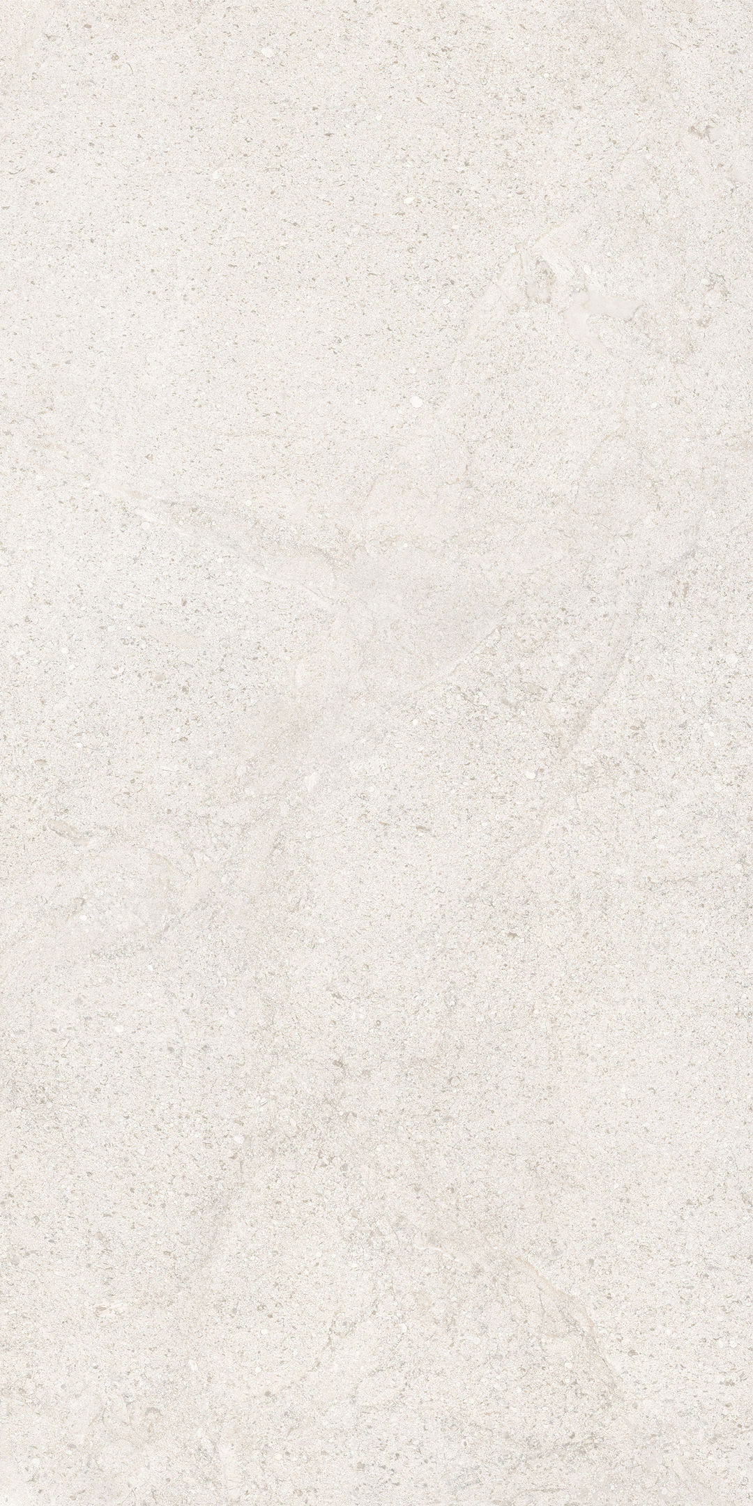 COCOWHITE - 3