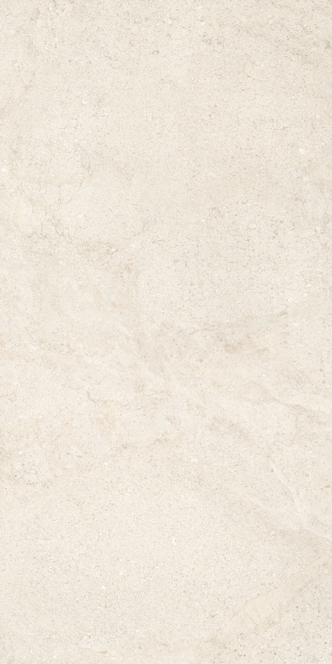 COCOIVORY - 4