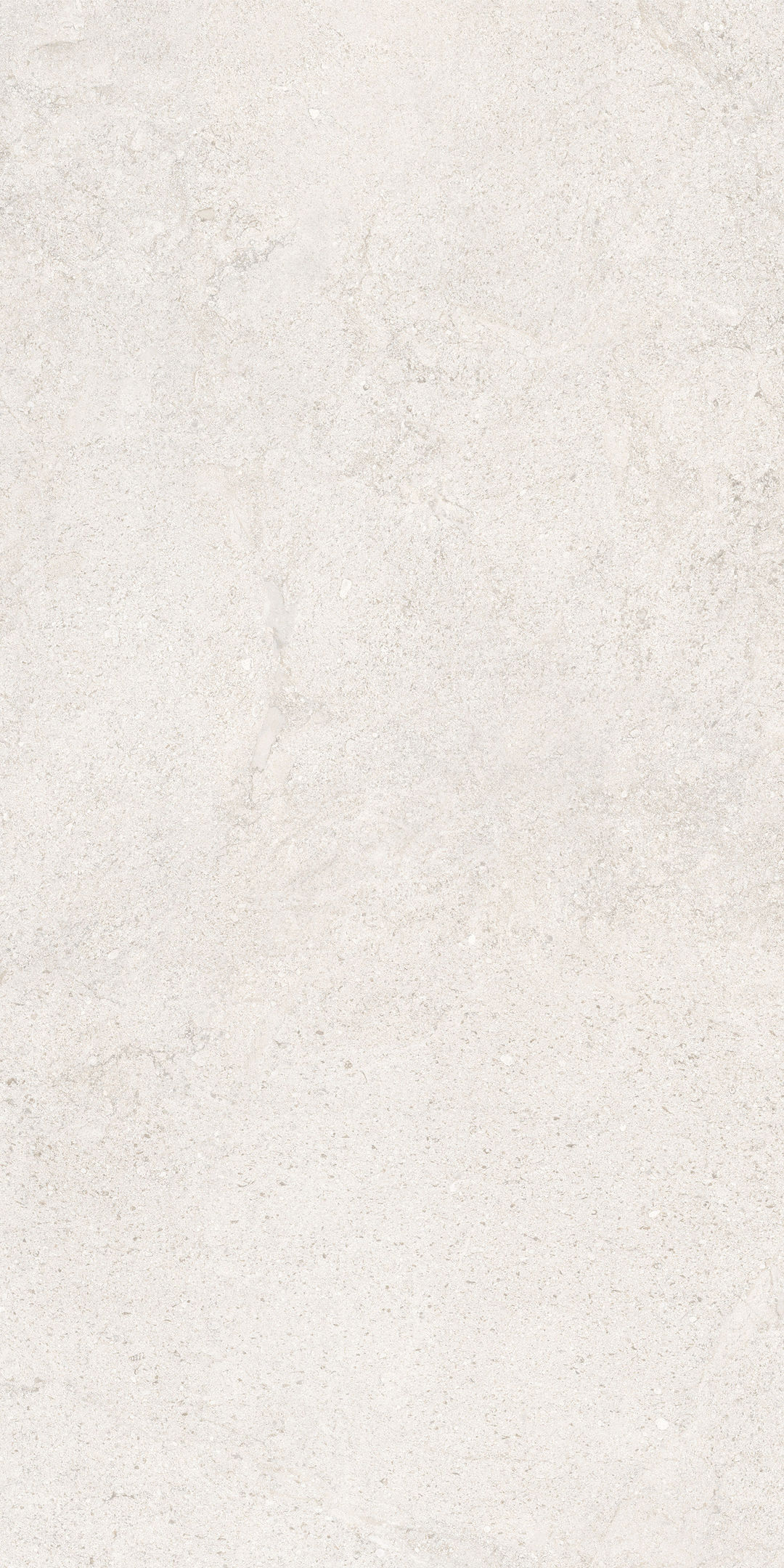 COCOWHITE - 12