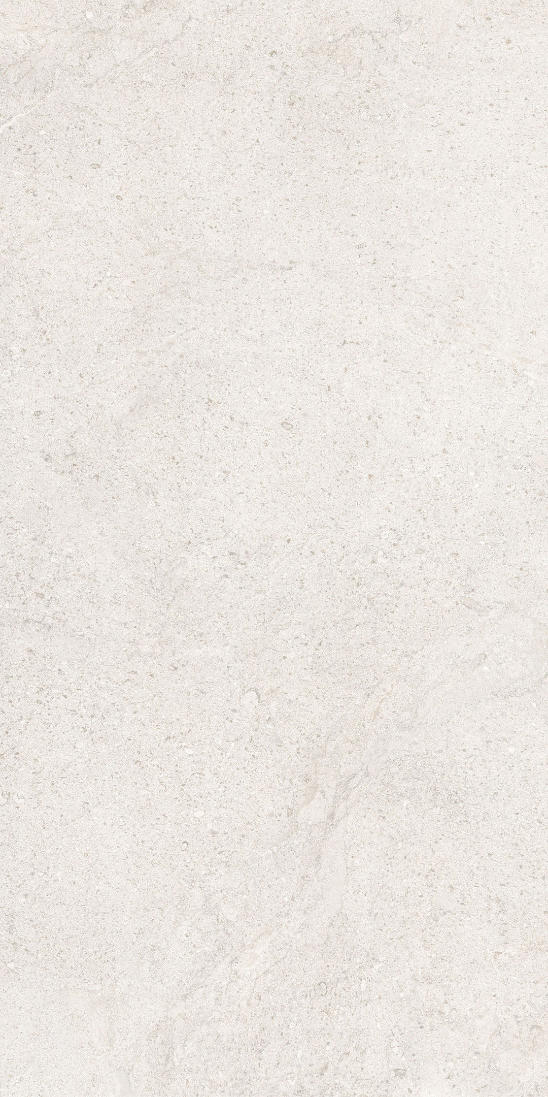 COCOWHITE - 9