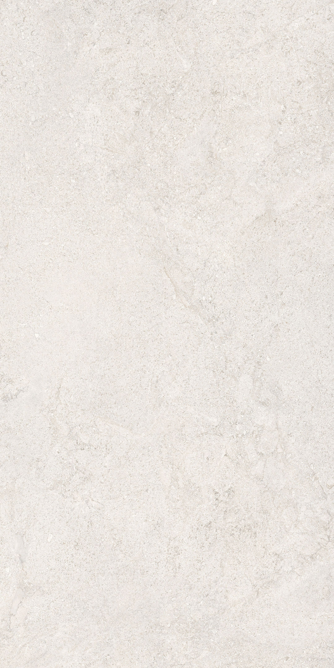 COCOWHITE - 4