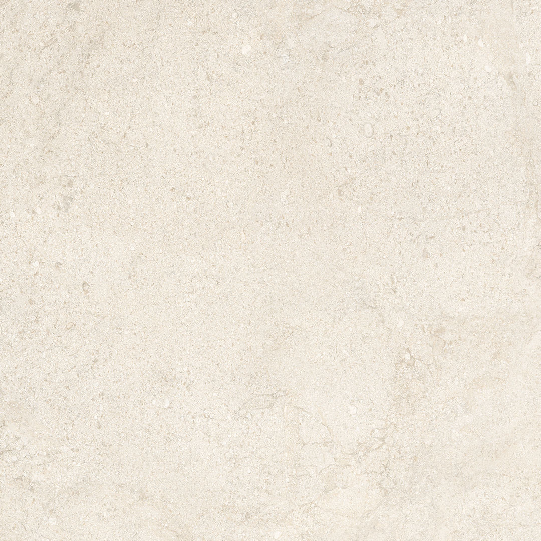 COCOIVORY - 1
