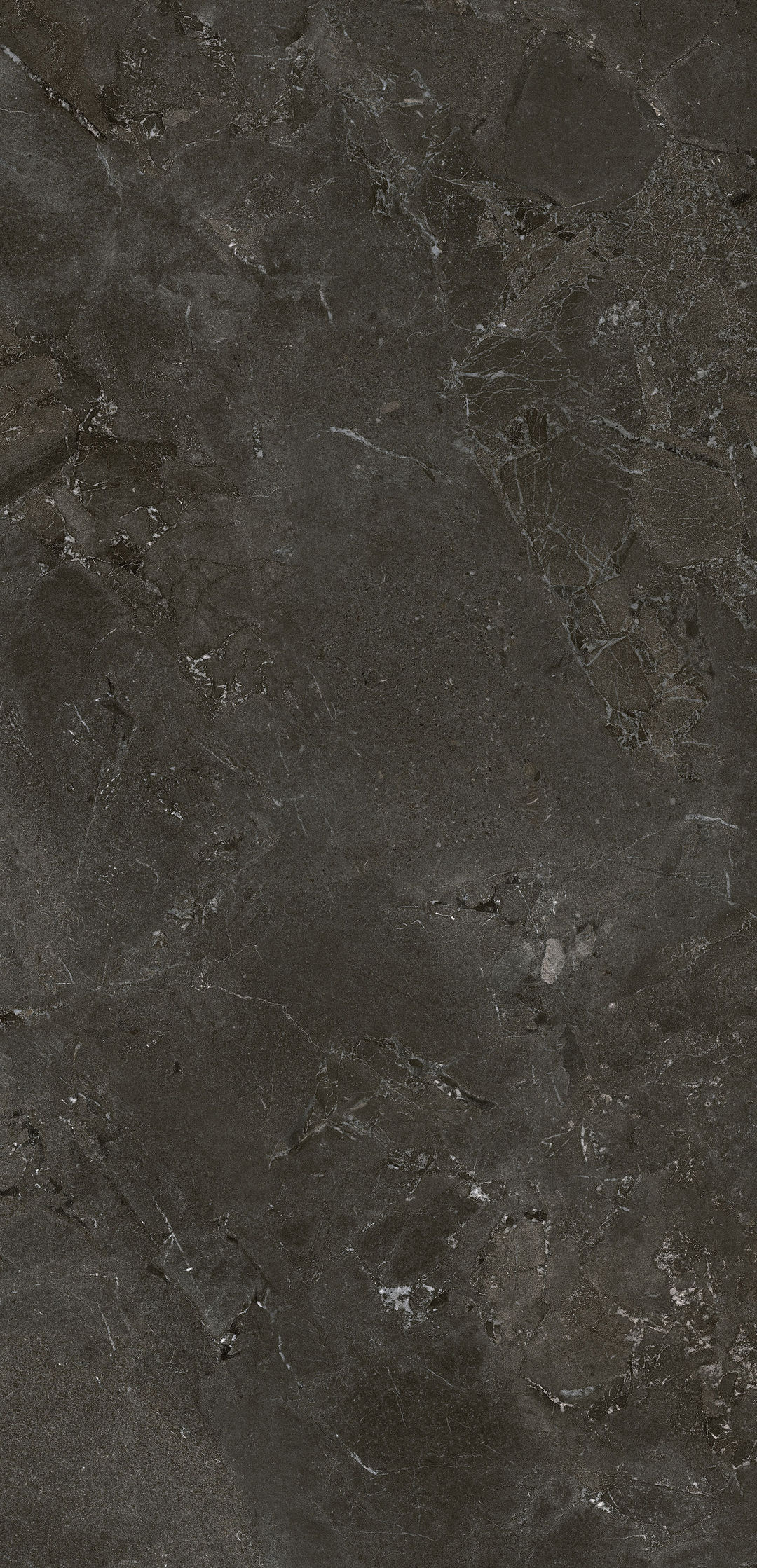 IMPERIALECHARCOAL - 1