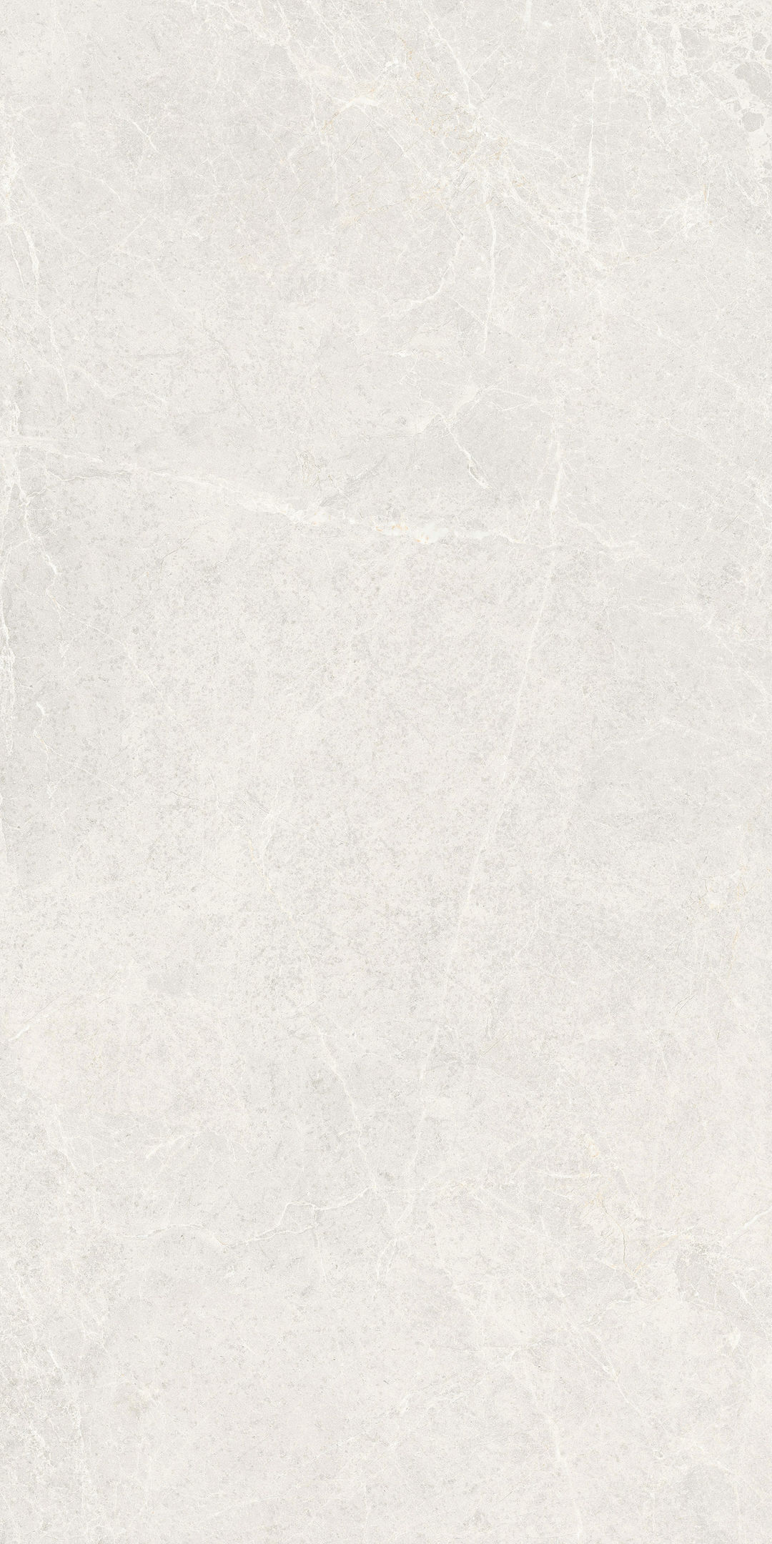 MONTEBLANCWHITE - 6