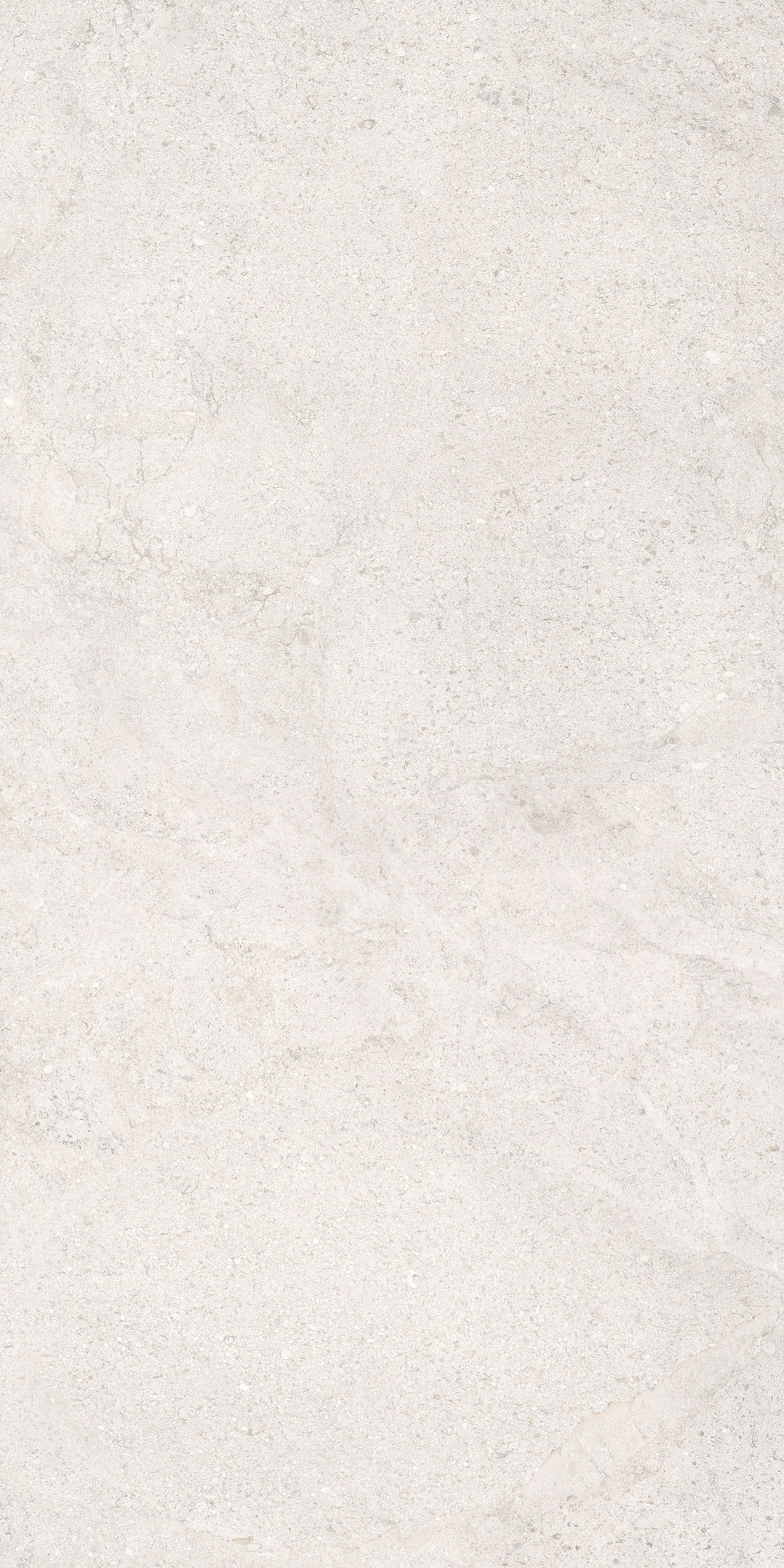 COCOWHITE - 7