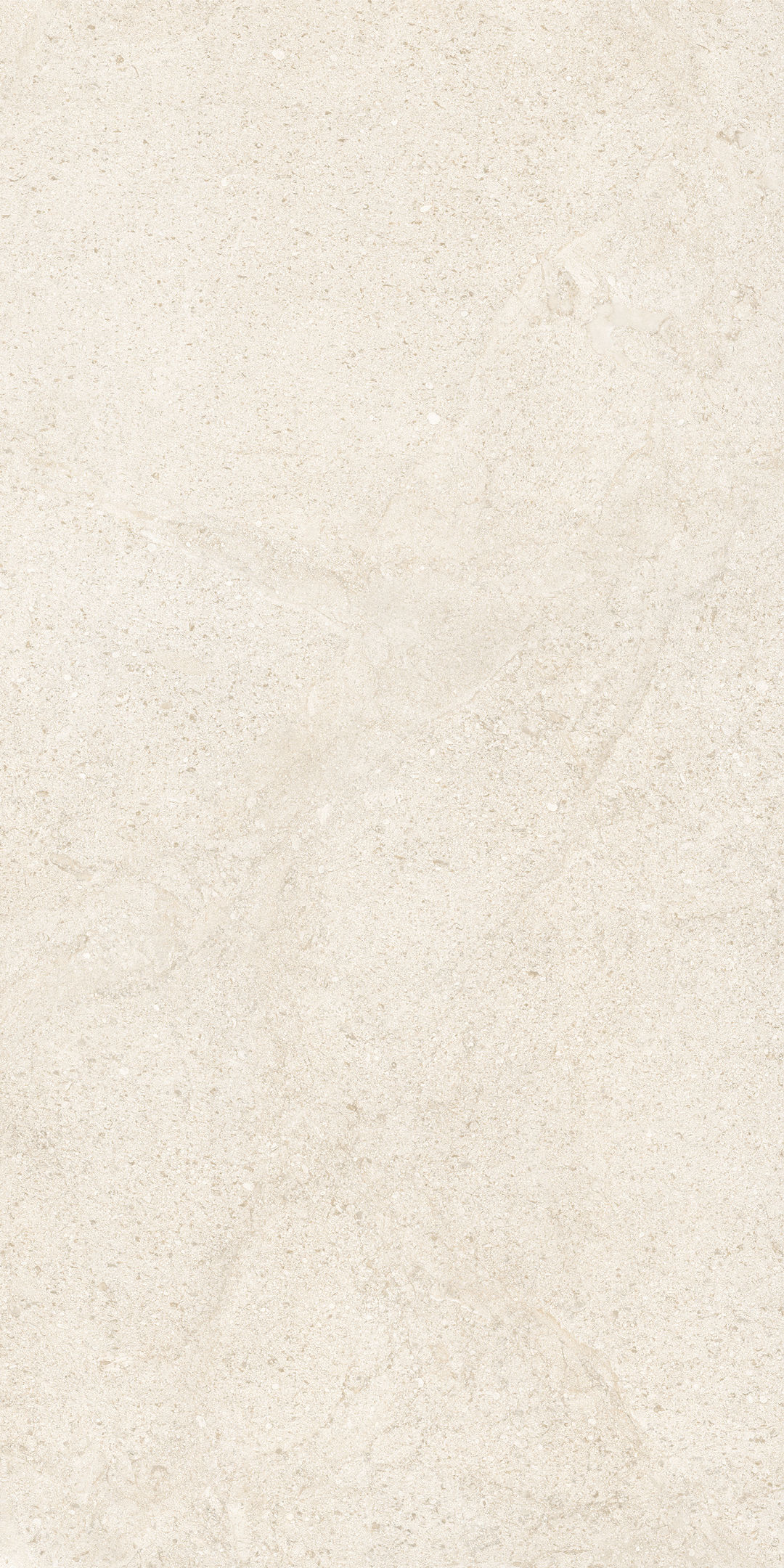 COCOIVORY - 2