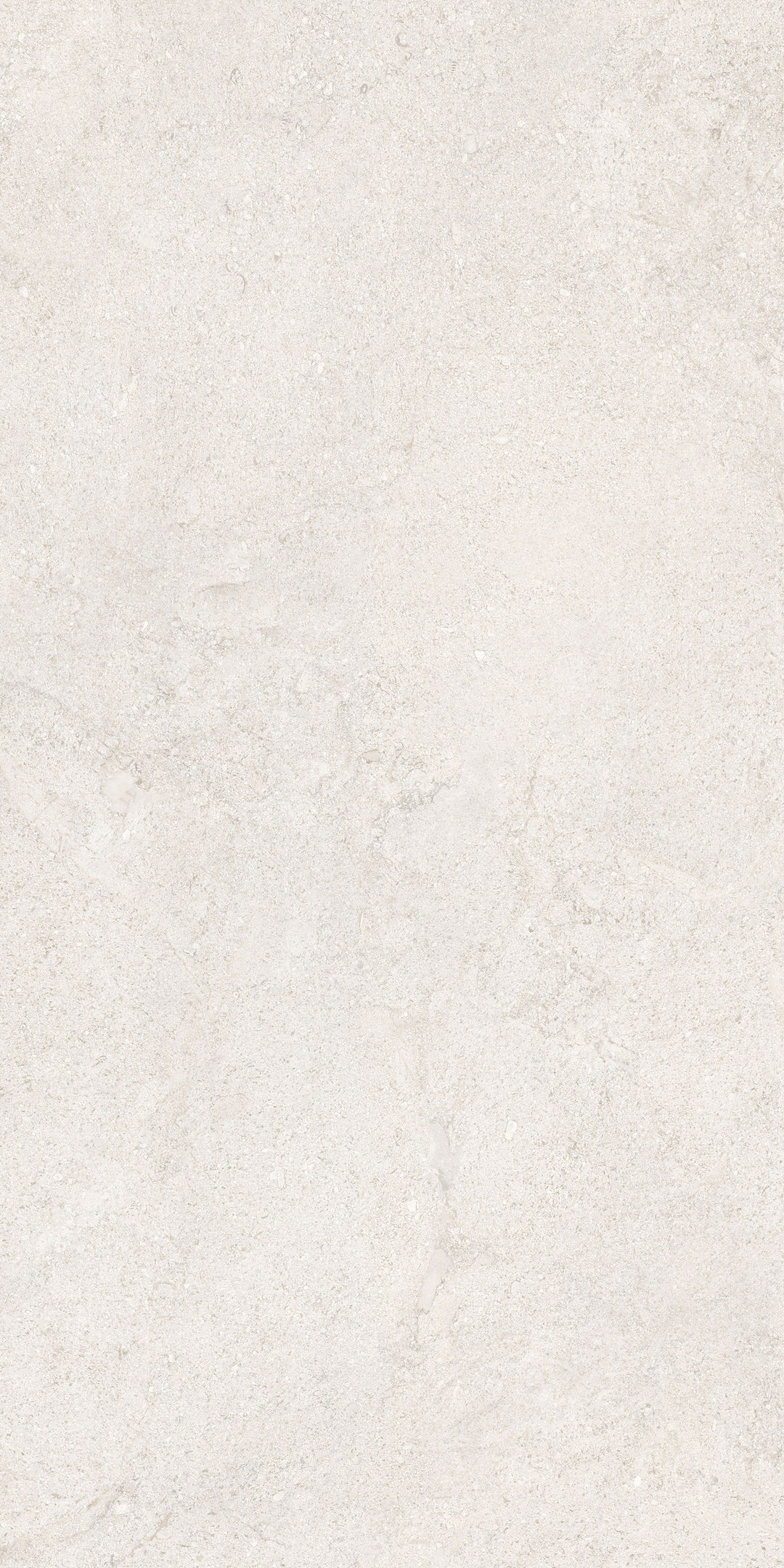 COCOWHITE - 5