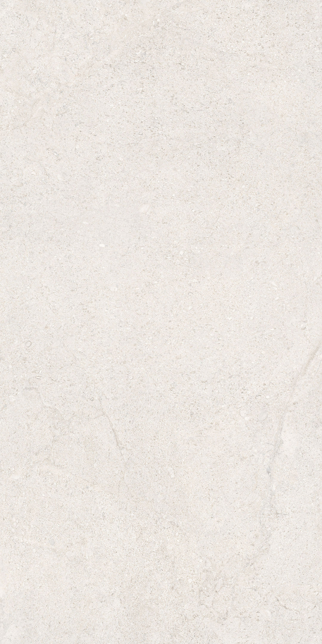 COCOWHITE - 6