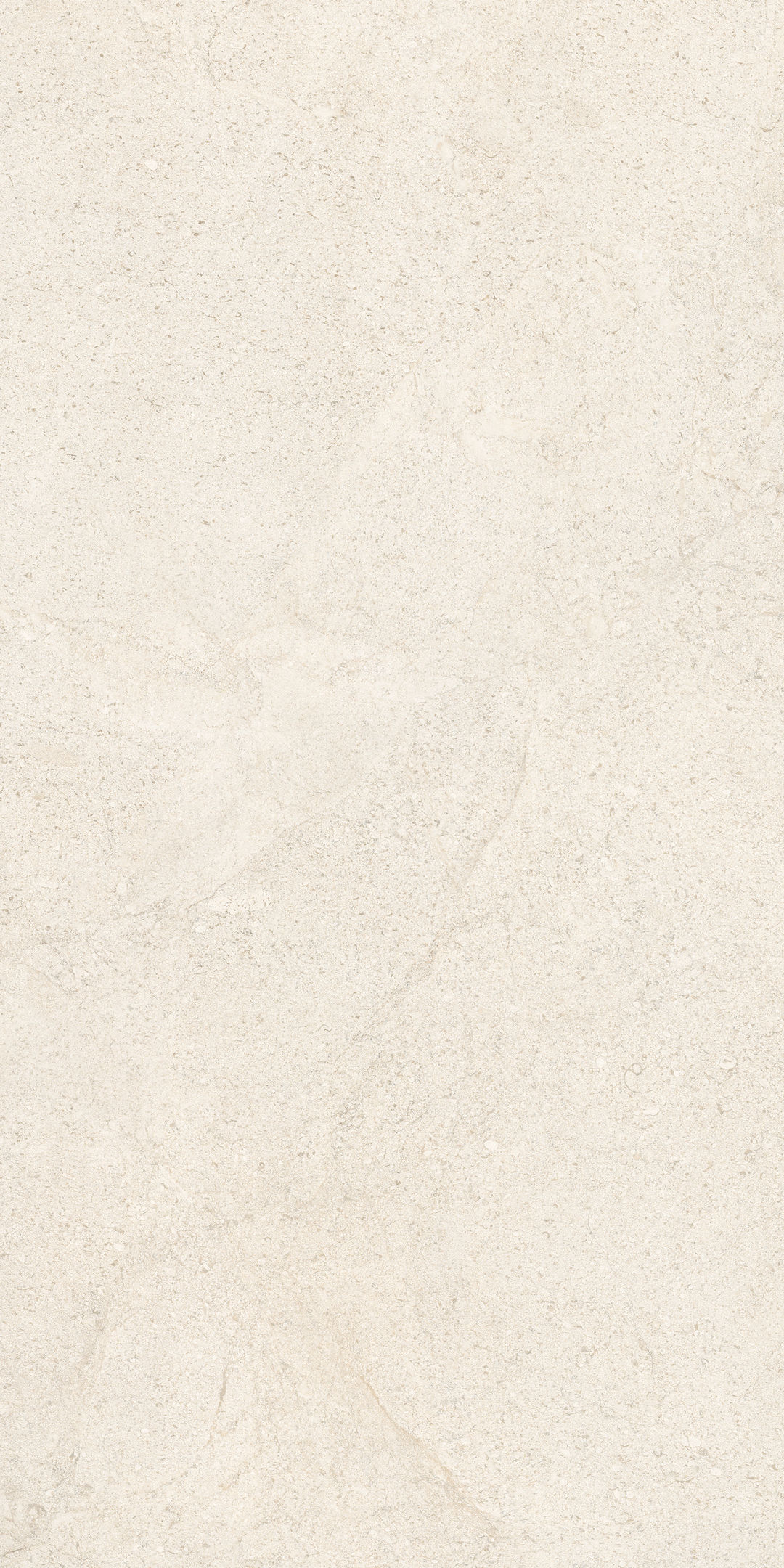 COCOIVORY - 1